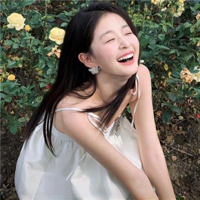 美国豚鼠