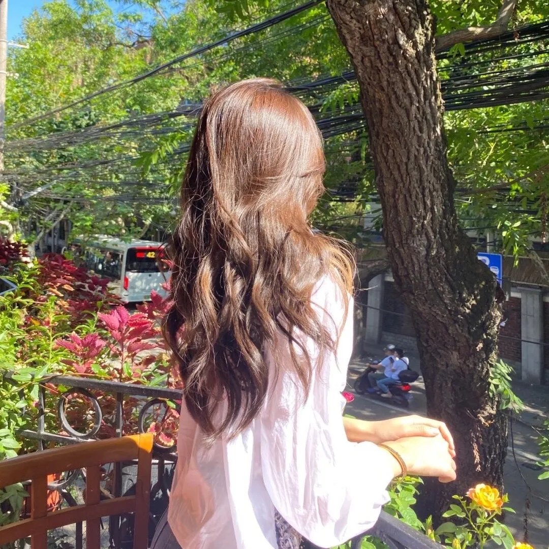 我是海鸥